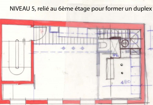 NIVEAU 5