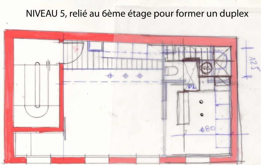 NIVEAU 5
