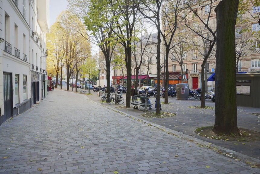 151204_5_RUE_HENRI_CHEVREAU_030_018