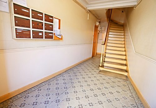 IMG_8455